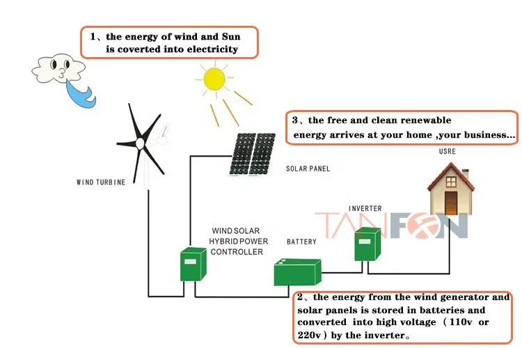 600W Small Wind Generator/Wind Turbine /Wind Mill